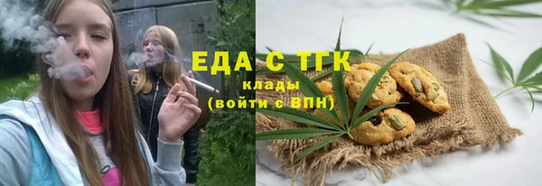 шишки Медногорск