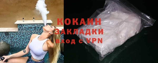 шишки Медногорск