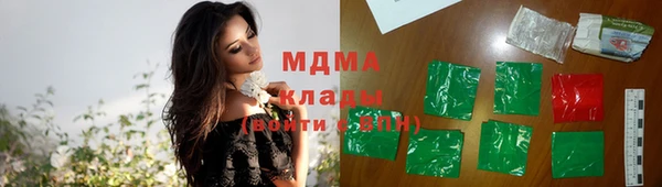 шишки Медногорск