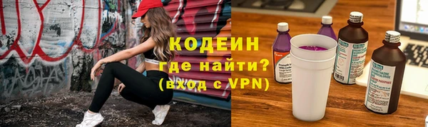 шишки Медногорск